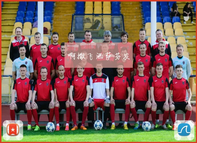 拜仁球迷必备:俱乐部文化与历史