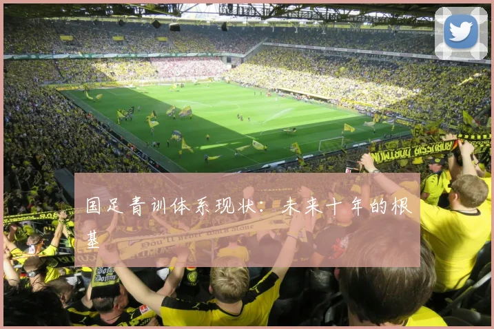 国足青训体系现状:未来十年的根基